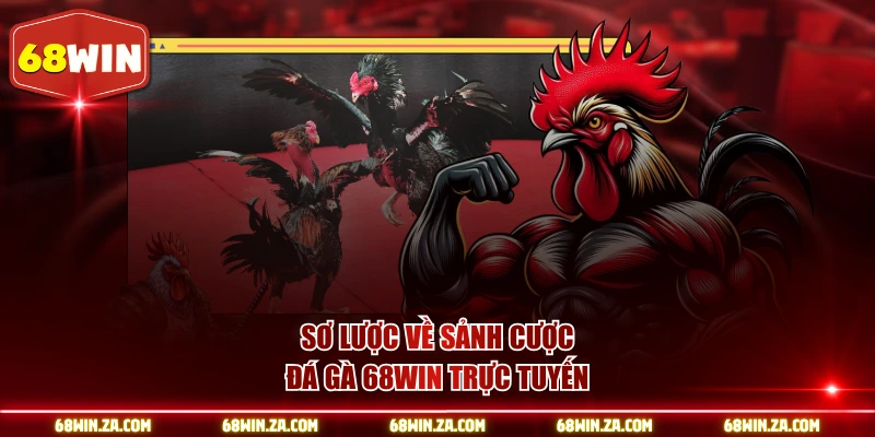 Sơ lược về sảnh cược đá gà 68WIN trực tuyến